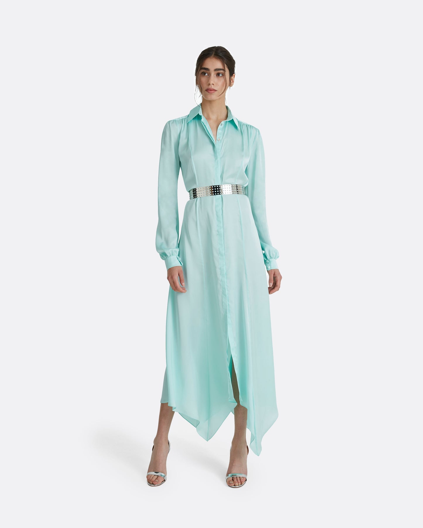 Clio Silver Metal Belt