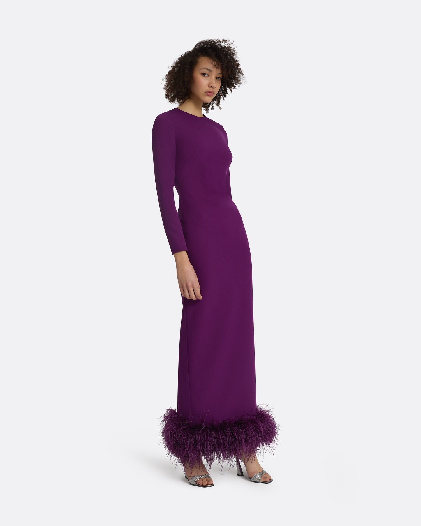 Paignita Currant Long Dress