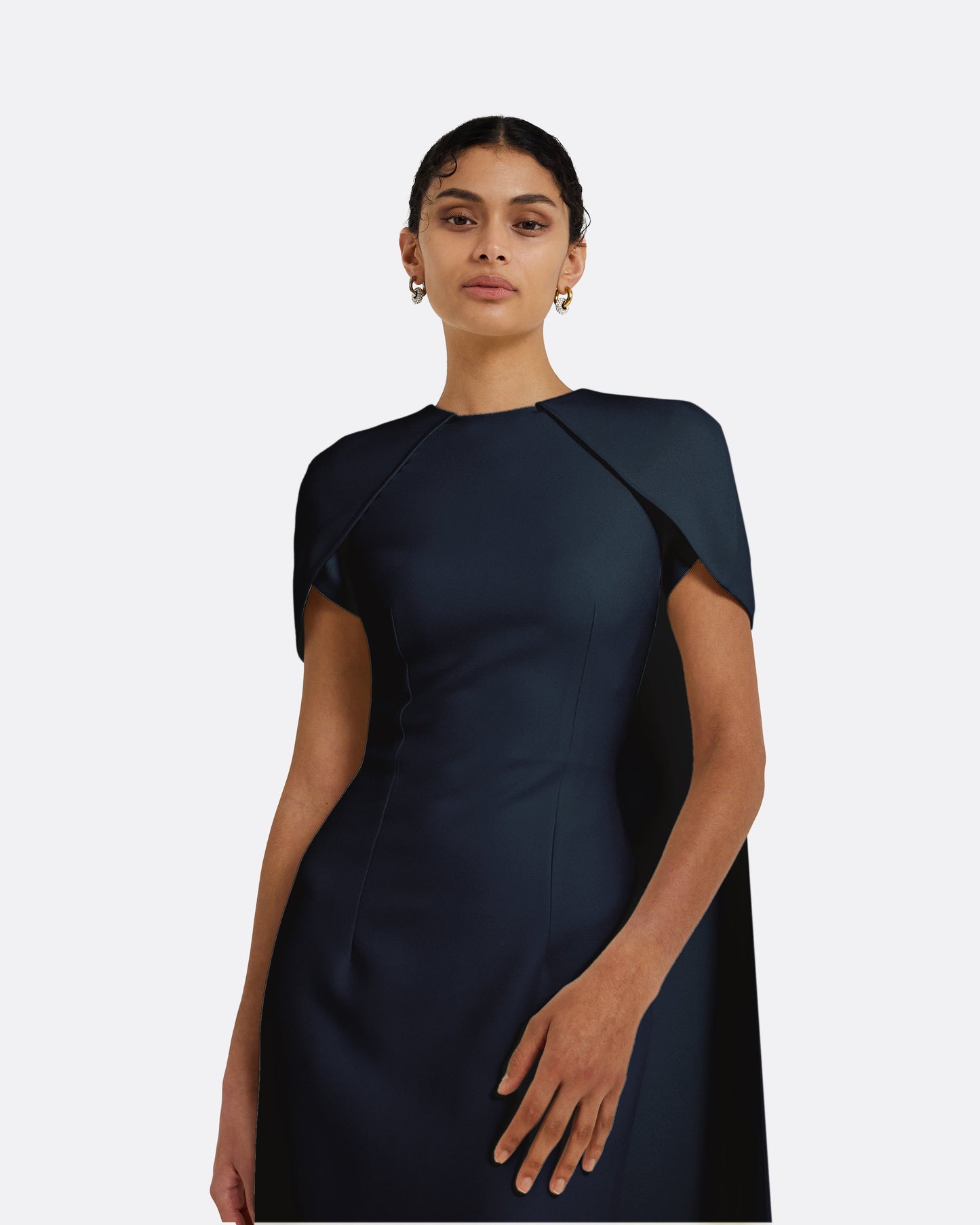 Ginkgo Midnight Navy Dress