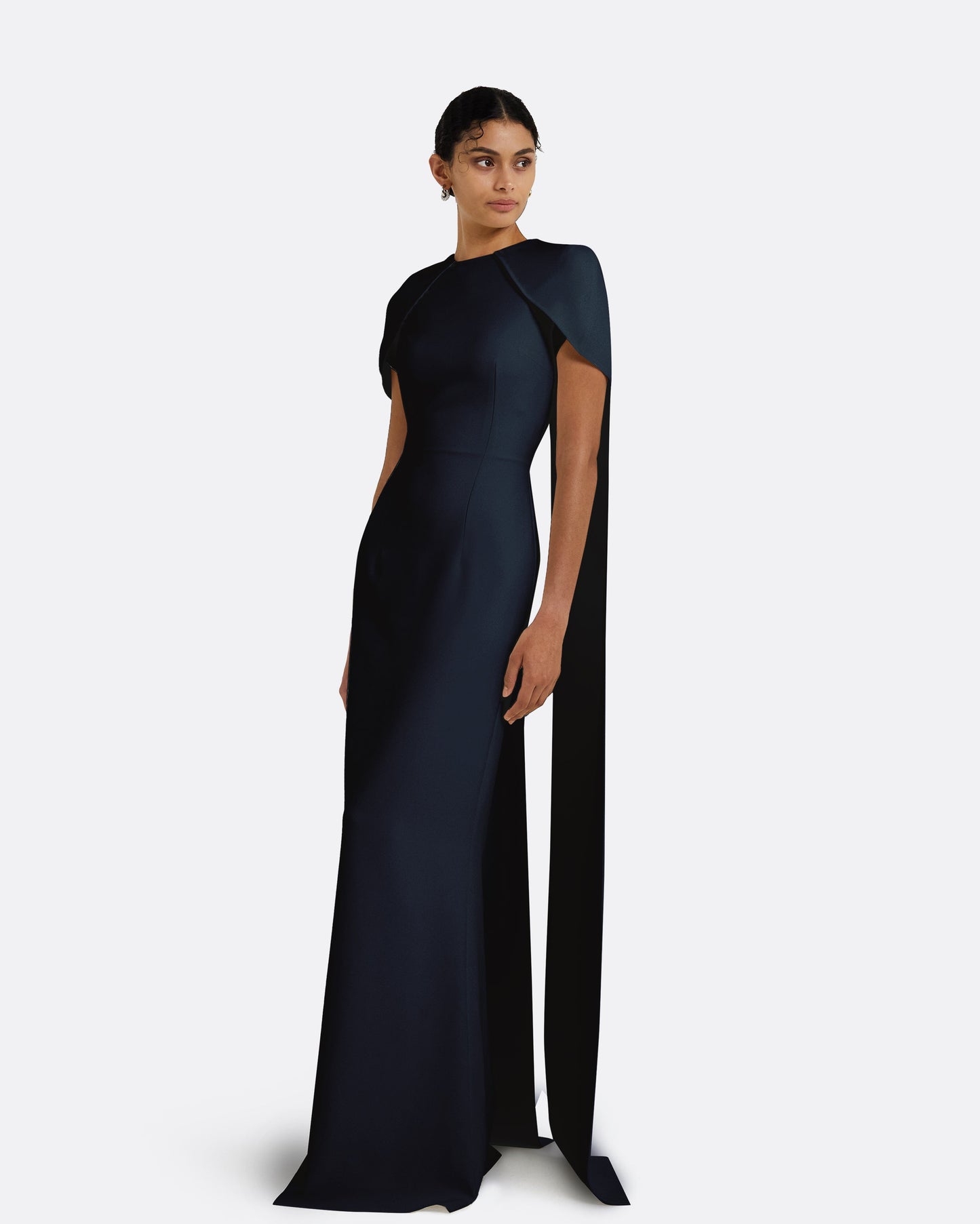Ginkgo Midnight Navy Dress