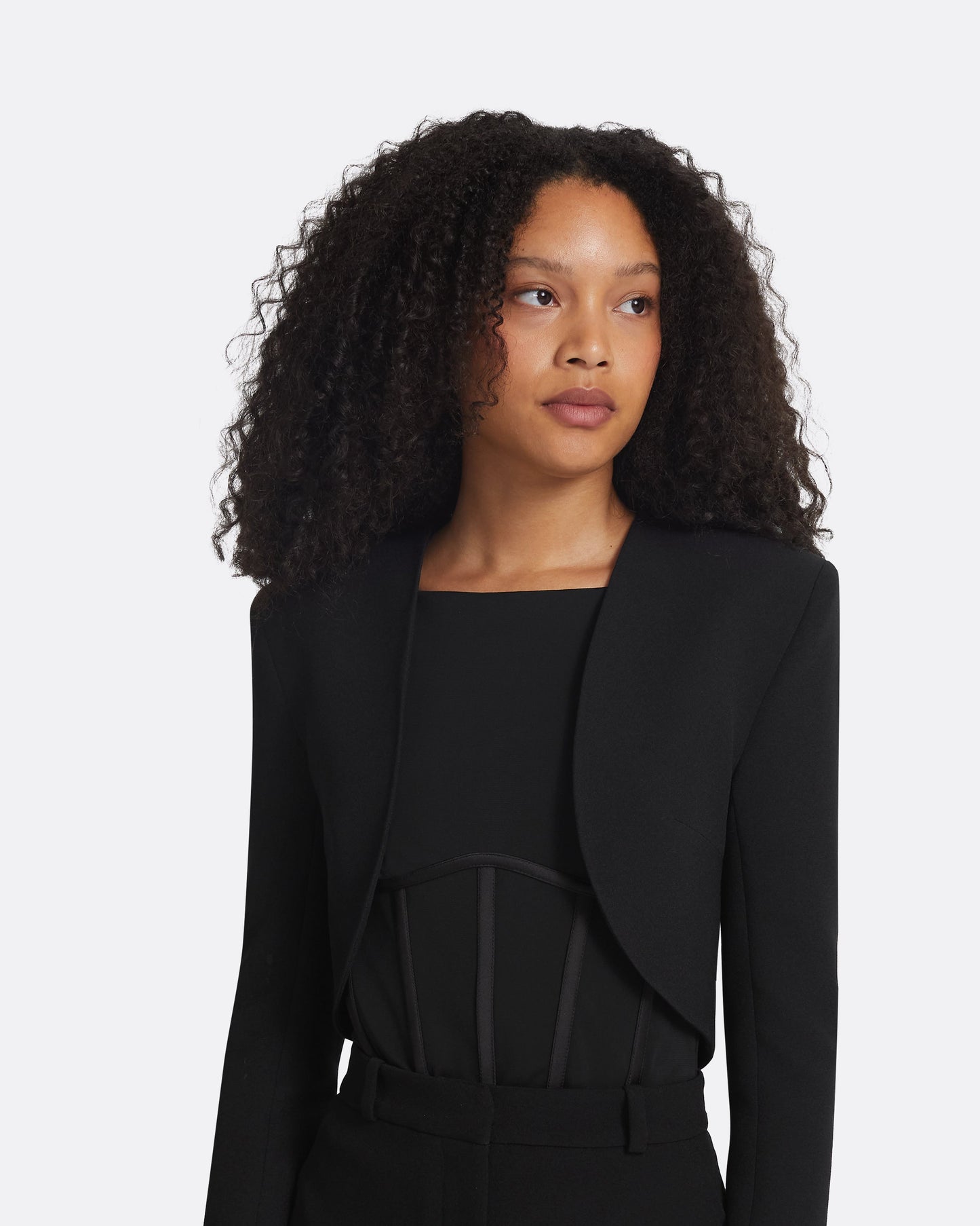 Sweeney Black Harness